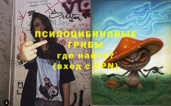 СК Балахна