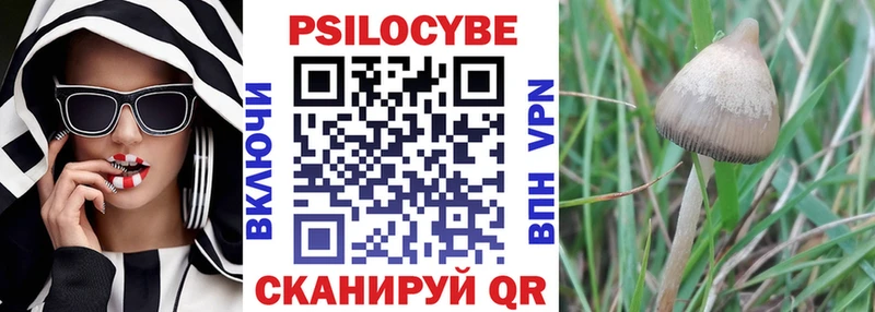 хочу наркоту  Бердск  Галлюциногенные грибы GOLDEN TEACHER 